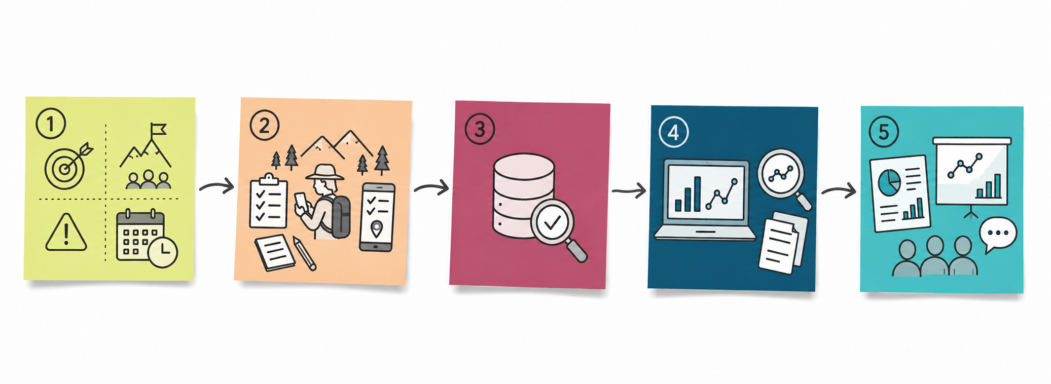 Data and fieldwork workflow